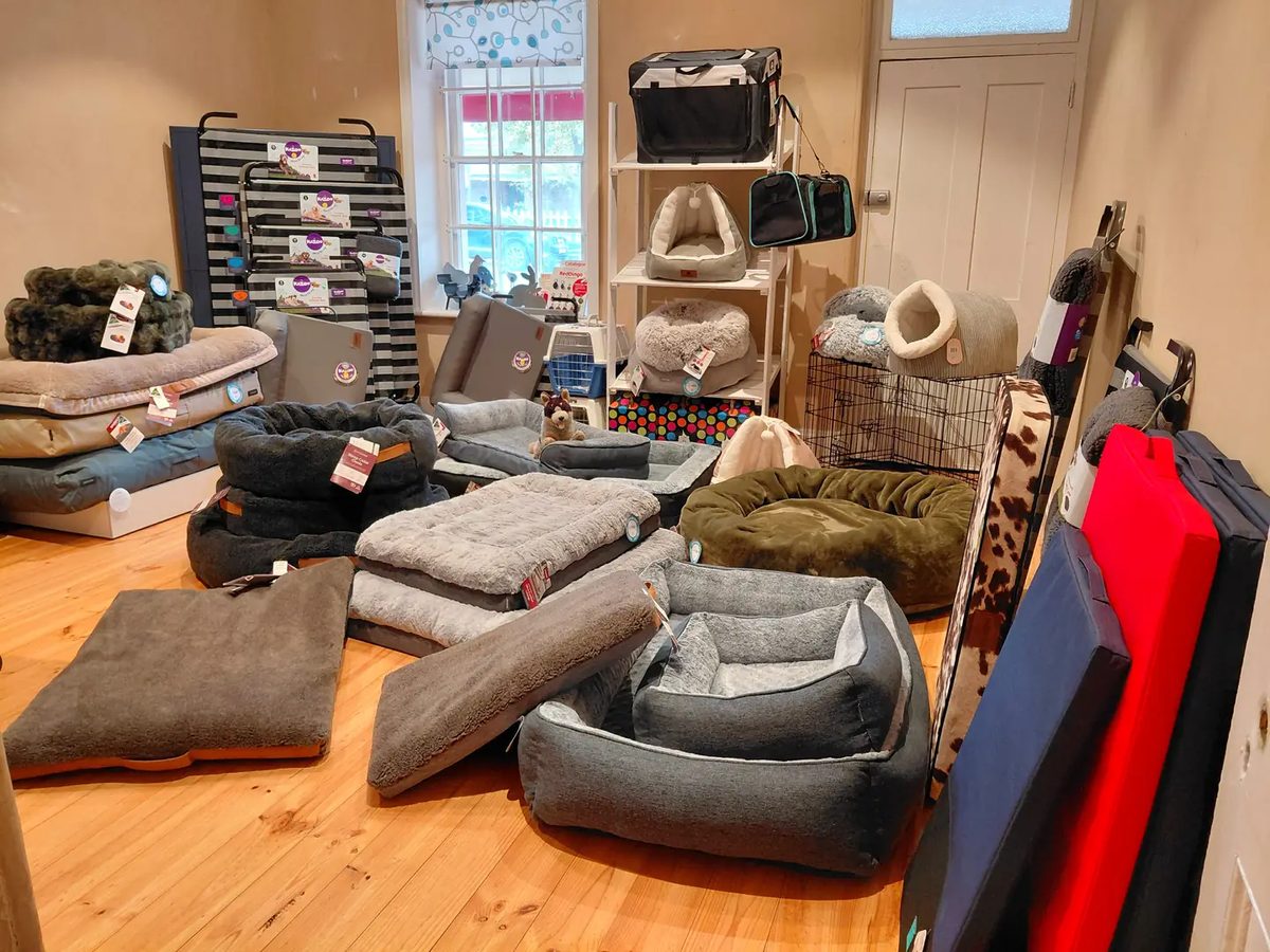 The bedding room at For Pets Sake: dog beds, mats, cat caves and carriers on a timber floor under a window.