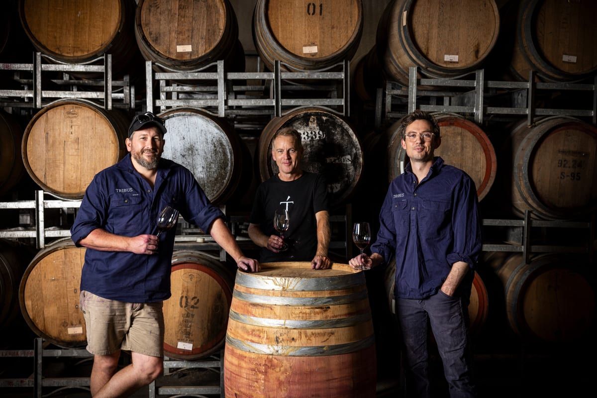 Three Tribus Wines team members standing among stacked oak barrels, one resting a hand on a barrel.