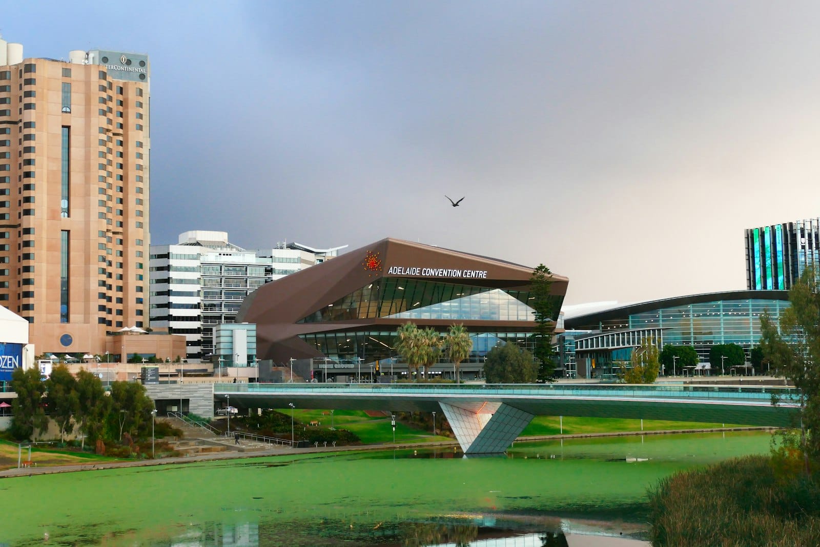 The Adelaide Riverbank precinct — the footbridge over the River Torrens with the city skyline behind, South Australia.